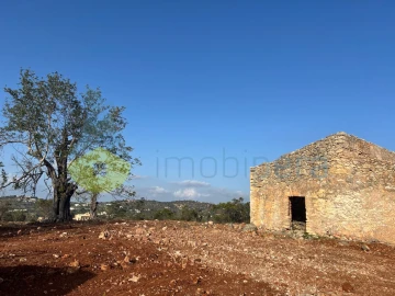 Terreno para Venda em Paderne