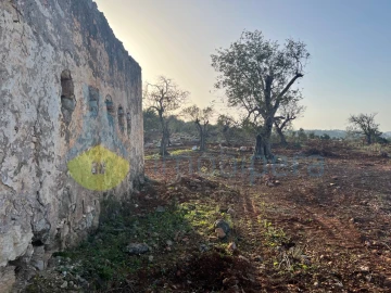 Terreno para Venda em Paderne
