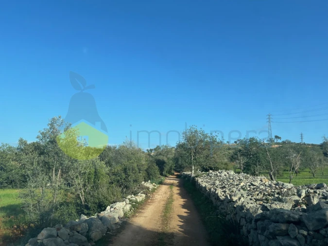 Terreno para Venda em Paderne Foto 28