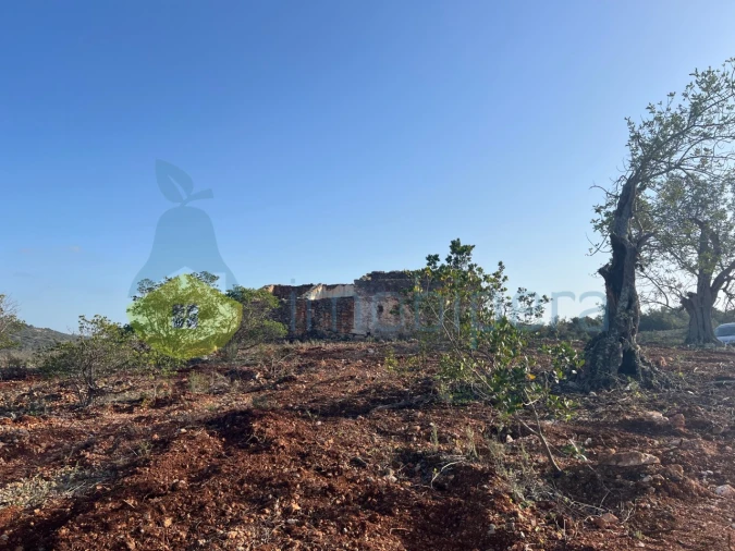 Terreno para Venda em Paderne Foto 38