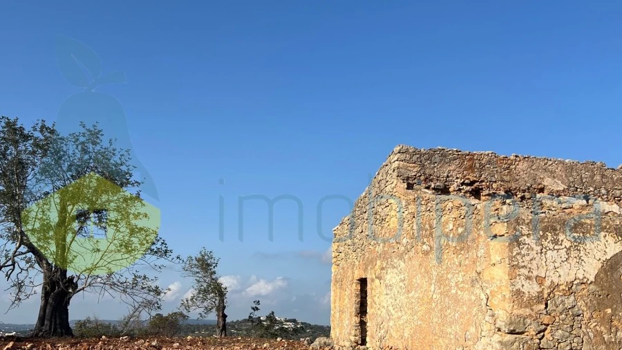 Terreno para Venda em Paderne