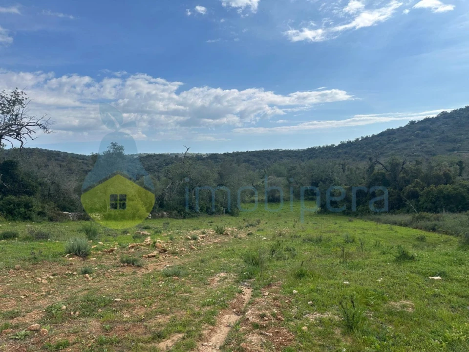 Terreno Agricola ou Rústico para Venda em Paderne Foto 1