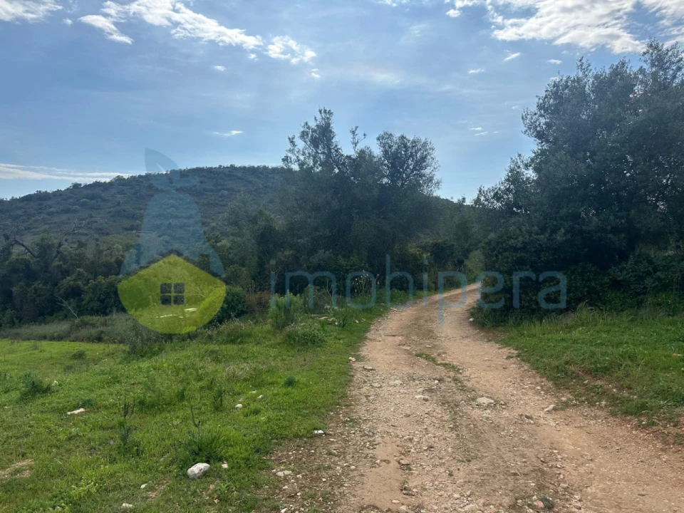 Terreno Agricola ou Rústico para Venda em Paderne Foto 2