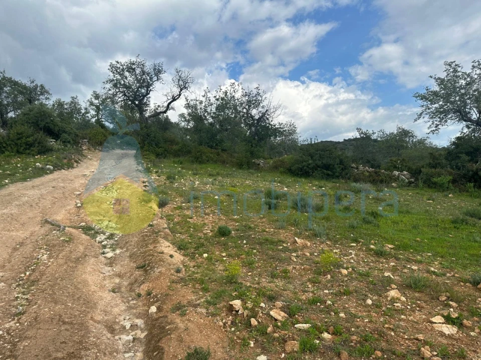 Terreno Agricola ou Rústico para Venda em Paderne Foto 3