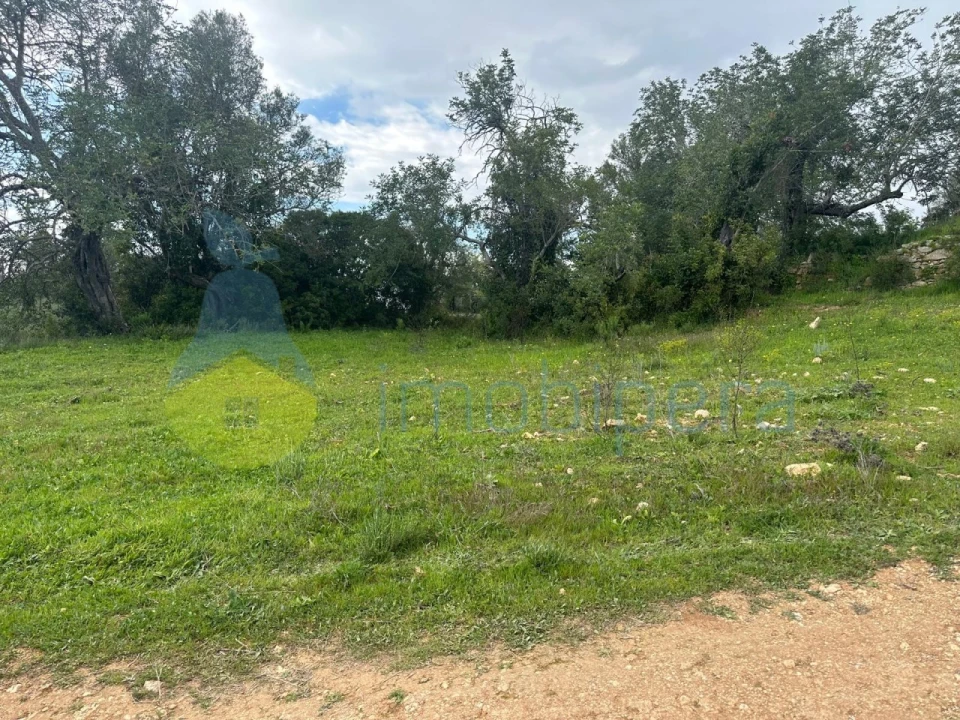 Terreno Agricola ou Rústico para Venda em Paderne Foto 4