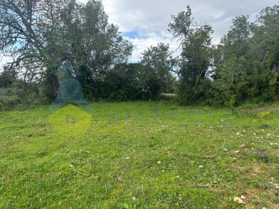 Terreno Agricola ou Rústico para Venda em Paderne Foto 5