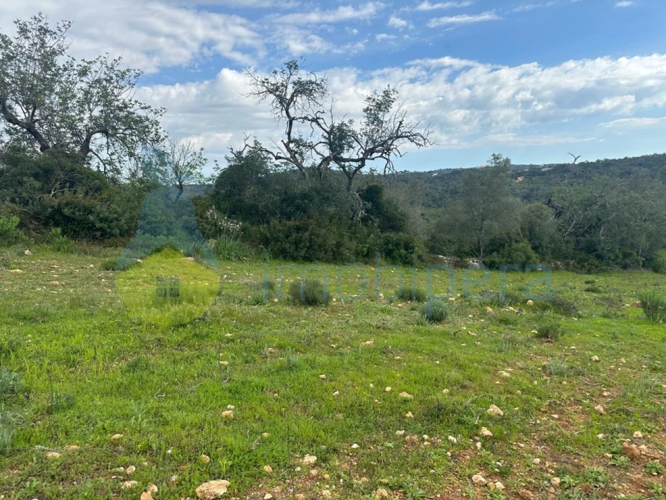 Terreno Agricola ou Rústico para Venda em Paderne Foto 6