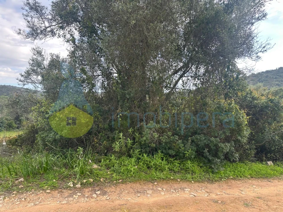 Terreno Agricola ou Rústico para Venda em Paderne Foto 7