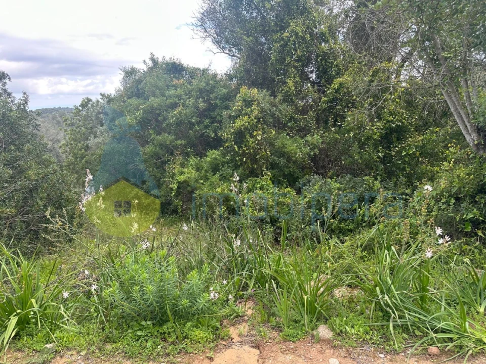 Terreno Agricola ou Rústico para Venda em Paderne Foto 8