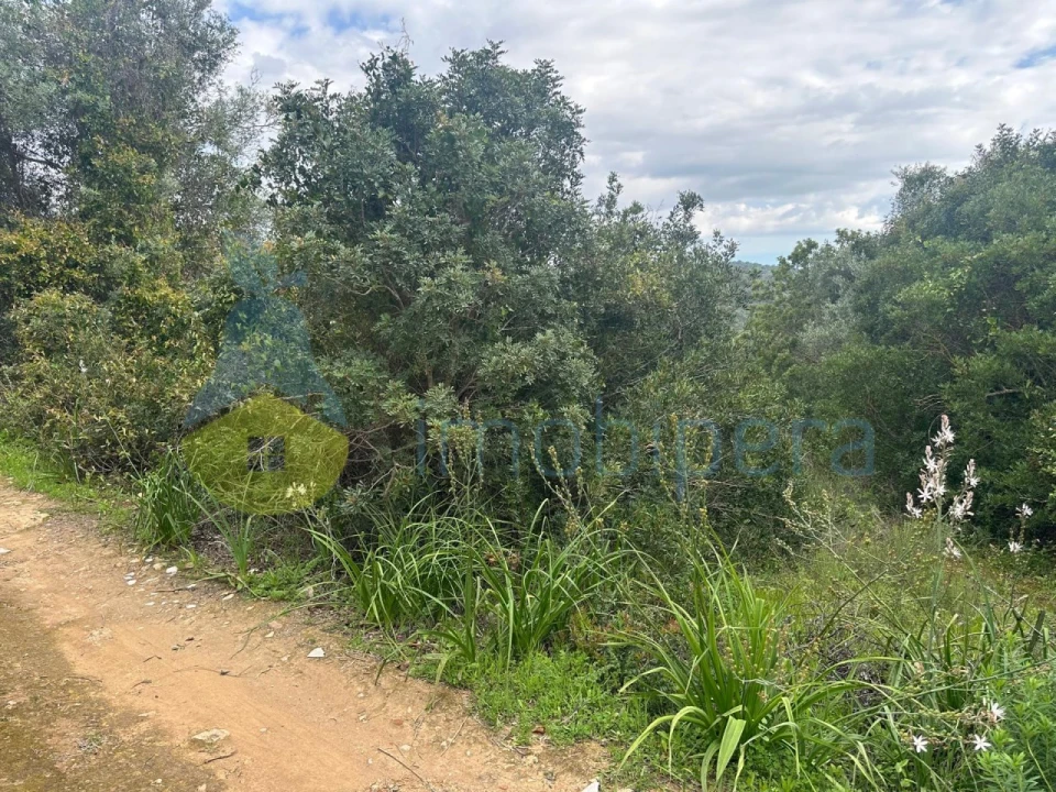 Terreno Agricola ou Rústico para Venda em Paderne Foto 9