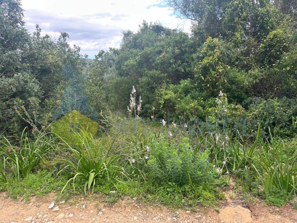 Terreno Agricola ou Rústico para Venda em Paderne Foto 10