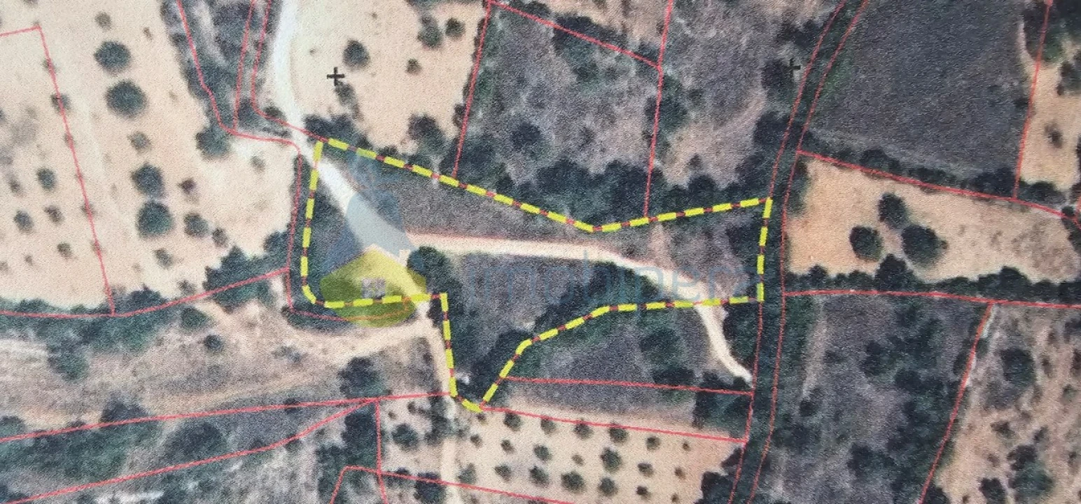 Terreno Agricola ou Rústico para Venda em Paderne Foto 11