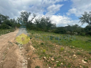 Terreno Agricola ou Rústico para Venda em Paderne