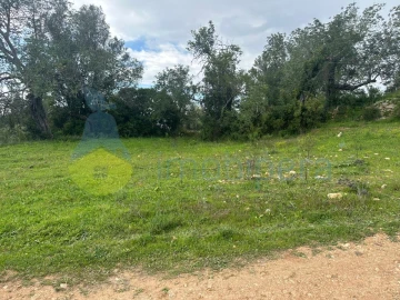 Terreno Agricola ou Rústico para Venda em Paderne