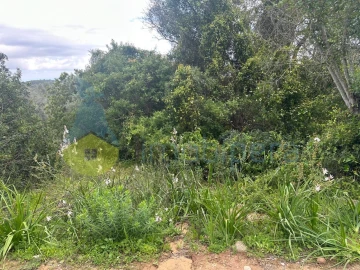 Terreno Agricola ou Rústico para Venda em Paderne