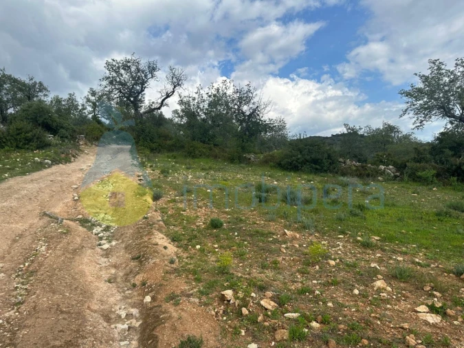 Terreno Agricola ou Rústico para Venda em Paderne Foto 3