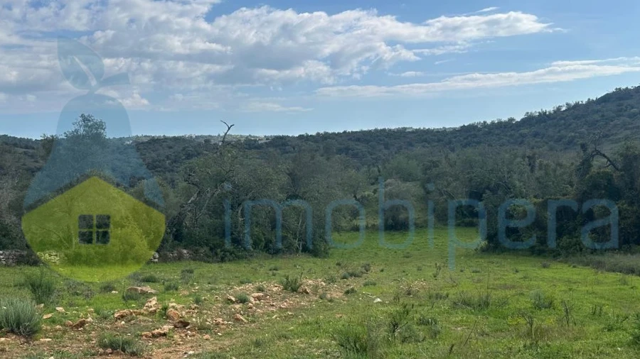 Terreno Agricola ou Rústico para Venda em Paderne