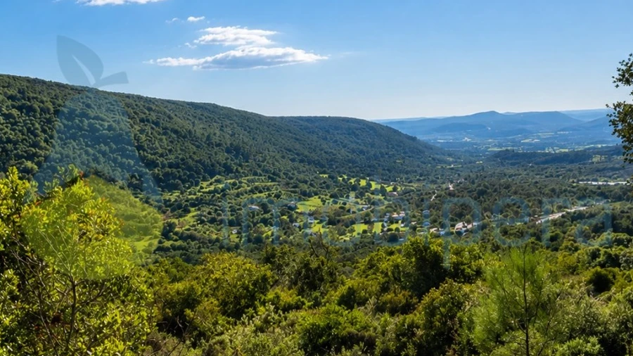 Terreno Agricola ou Rústico para Venda em São Bartolomeu de Messines