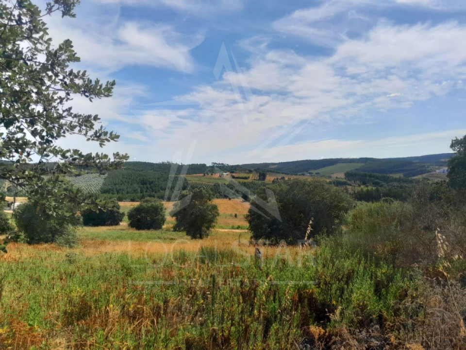 Terreno para Venda em Bombarral e Vale Covo Foto 5