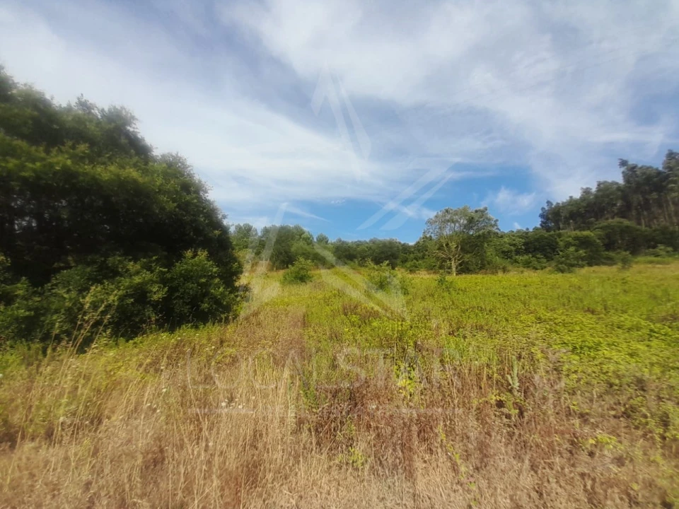 Terreno para Venda em Bombarral e Vale Covo Foto 11