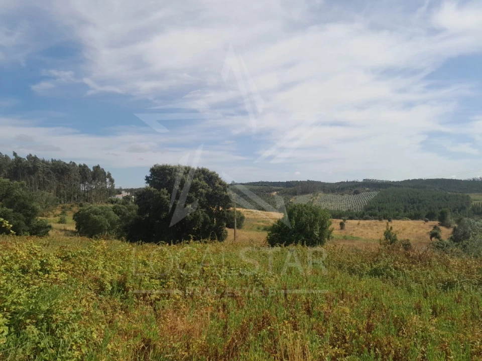 Terreno para Venda em Bombarral e Vale Covo Foto 14