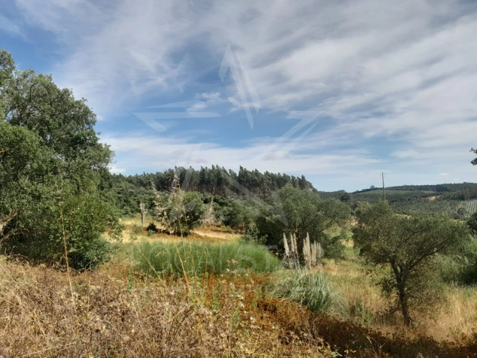 Terreno para Venda em Bombarral e Vale Covo Foto 7