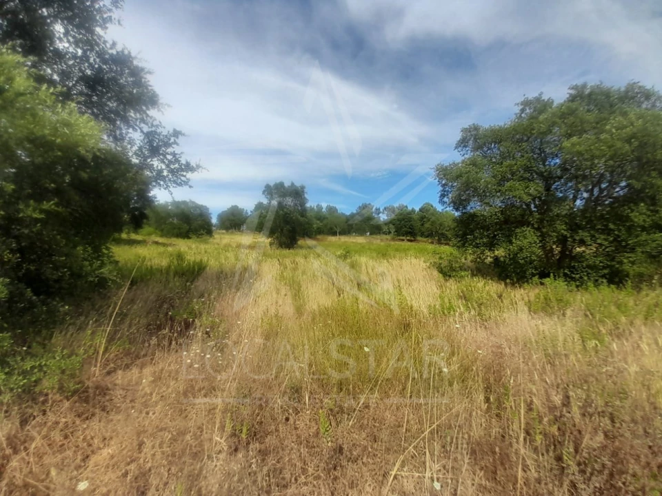 Terreno para Venda em Bombarral e Vale Covo Foto 9