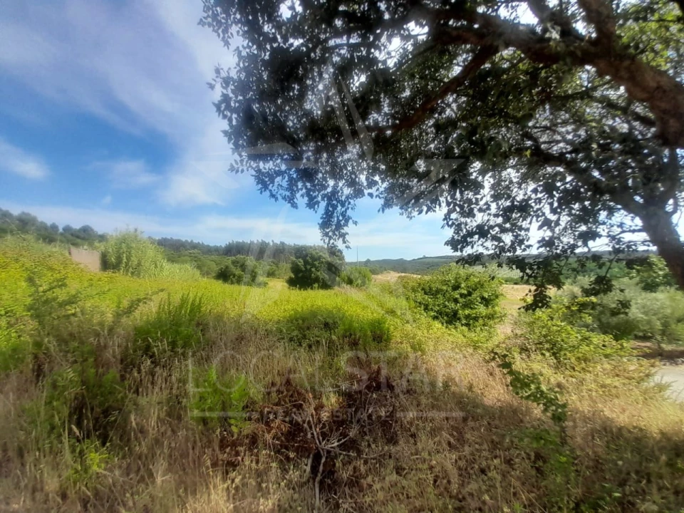 Terreno para Venda em Bombarral e Vale Covo Foto 2