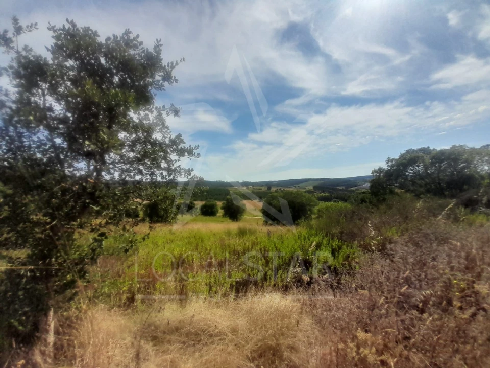 Terreno para Venda em Bombarral e Vale Covo Foto 19