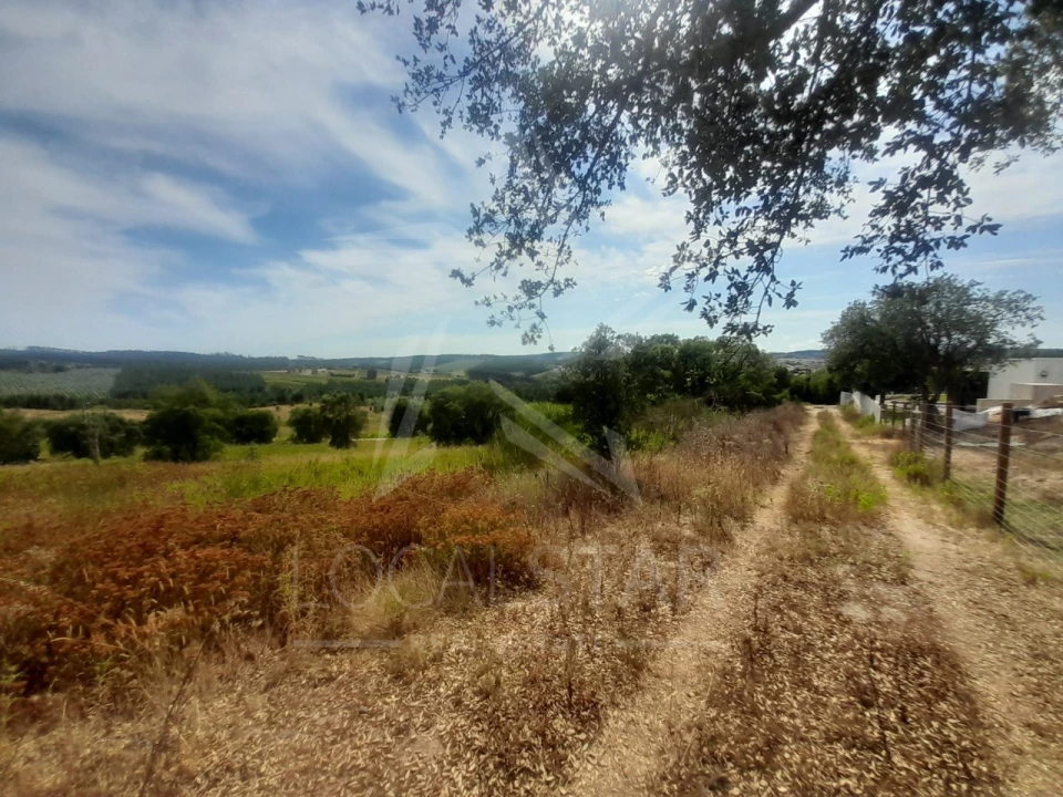 Terreno para Venda em Bombarral e Vale Covo Foto 24