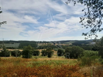 Terreno para Venda em Bombarral e Vale Covo