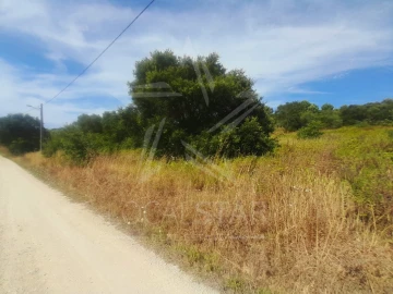 Terreno para Venda em Bombarral e Vale Covo