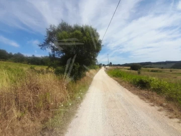 Terreno para Venda em Bombarral e Vale Covo