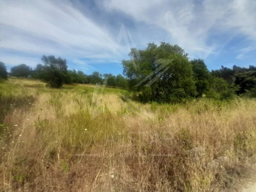 Terreno para Venda em Bombarral e Vale Covo