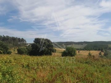 Terreno para Venda em Bombarral e Vale Covo