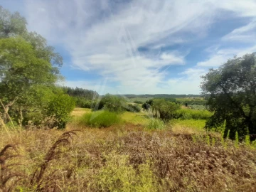 Terreno para Venda em Bombarral e Vale Covo