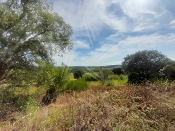 Terreno para Venda em Bombarral e Vale Covo