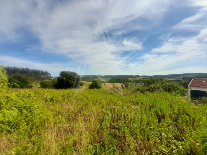 Terreno para Venda em Bombarral e Vale Covo Foto 3