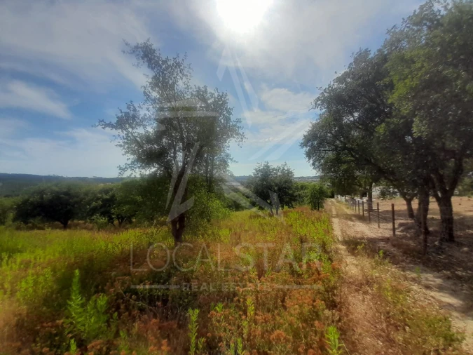 Terreno para Venda em Bombarral e Vale Covo Foto 20