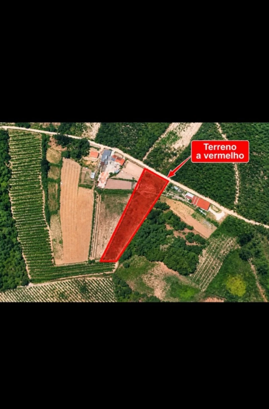 Terreno para Venda em Bombarral e Vale Covo Planta 1