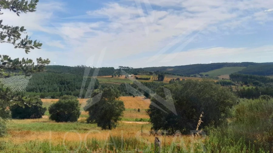 Terreno para Venda em Bombarral e Vale Covo