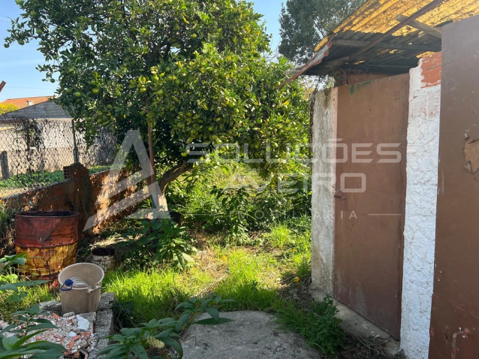 Apartamento T3 para Venda em Ílhavo (São Salvador) Foto 19