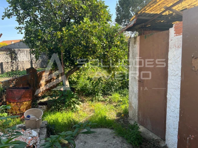 Apartamento T3 para Venda em Ílhavo (São Salvador) Foto 19