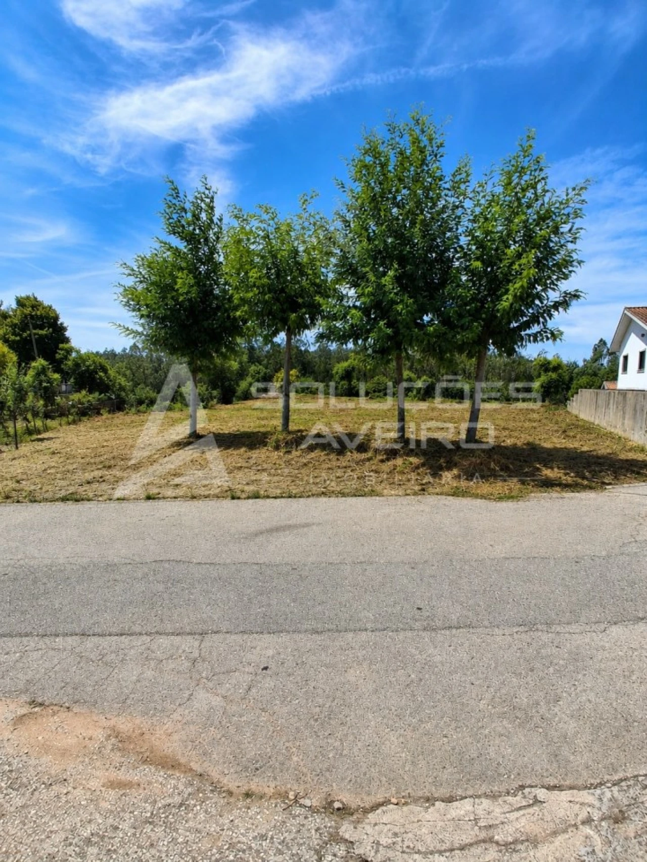 Terreno para Venda em Recardães e Espinhel Foto 2
