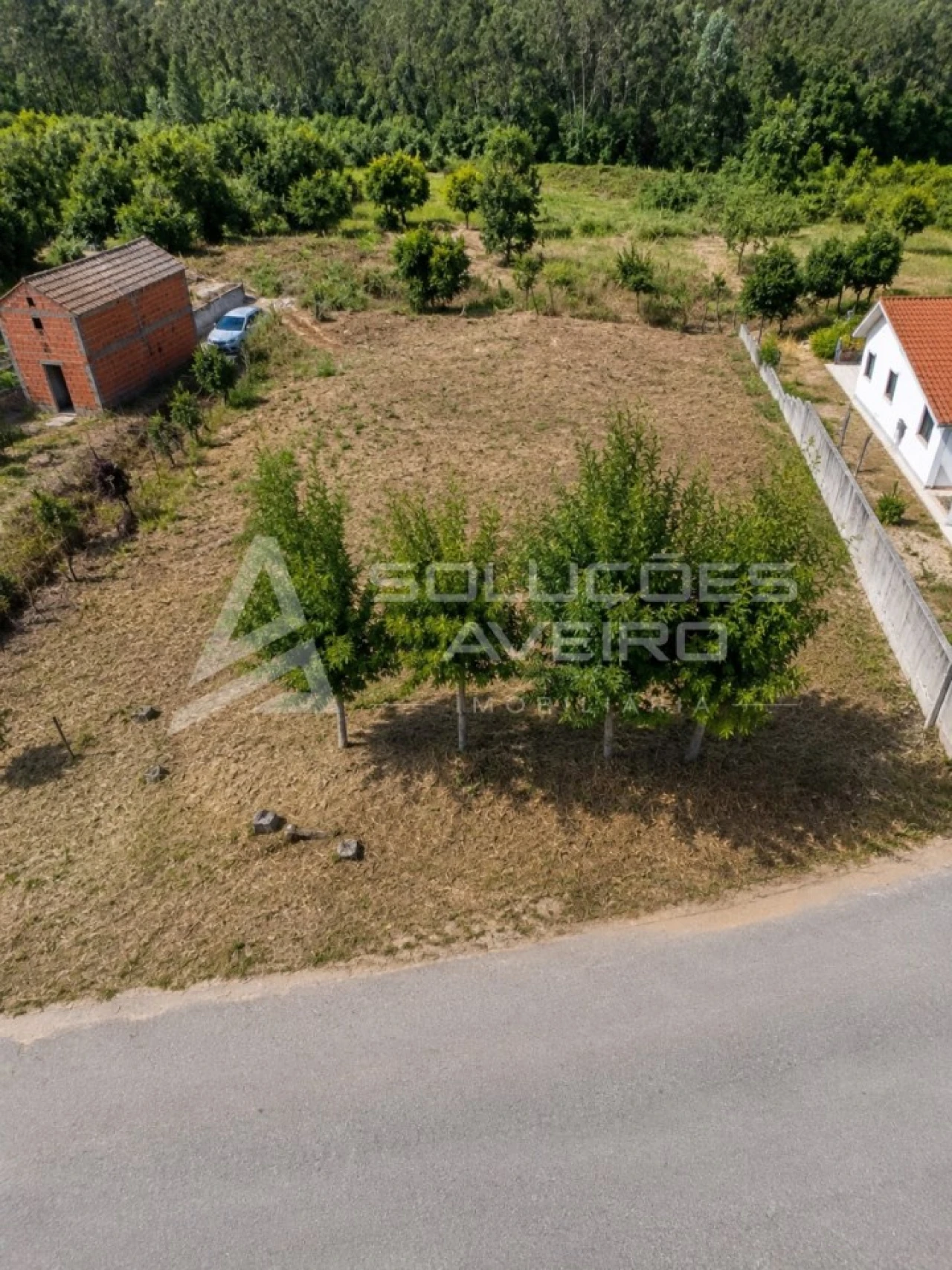 Terreno para Venda em Recardães e Espinhel Foto 3