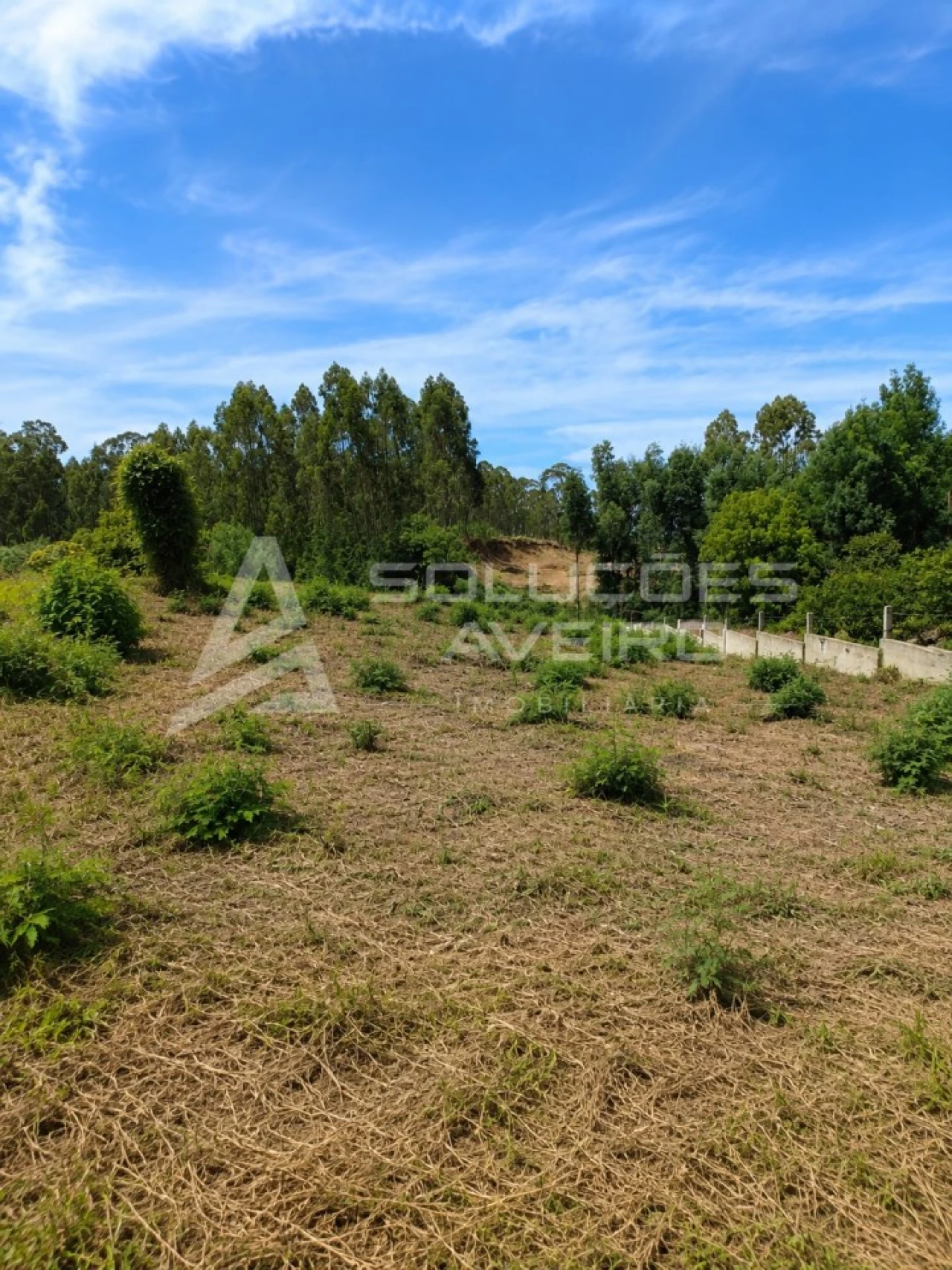 Terreno para Venda em Recardães e Espinhel Foto 5