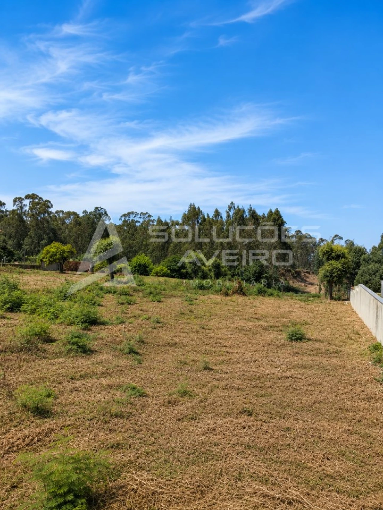Terreno para Venda em Recardães e Espinhel Foto 6