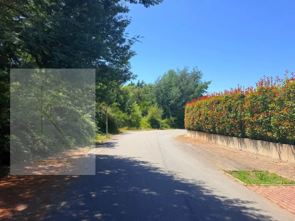 Terreno para Venda em Fornelos e Queijada Foto 2