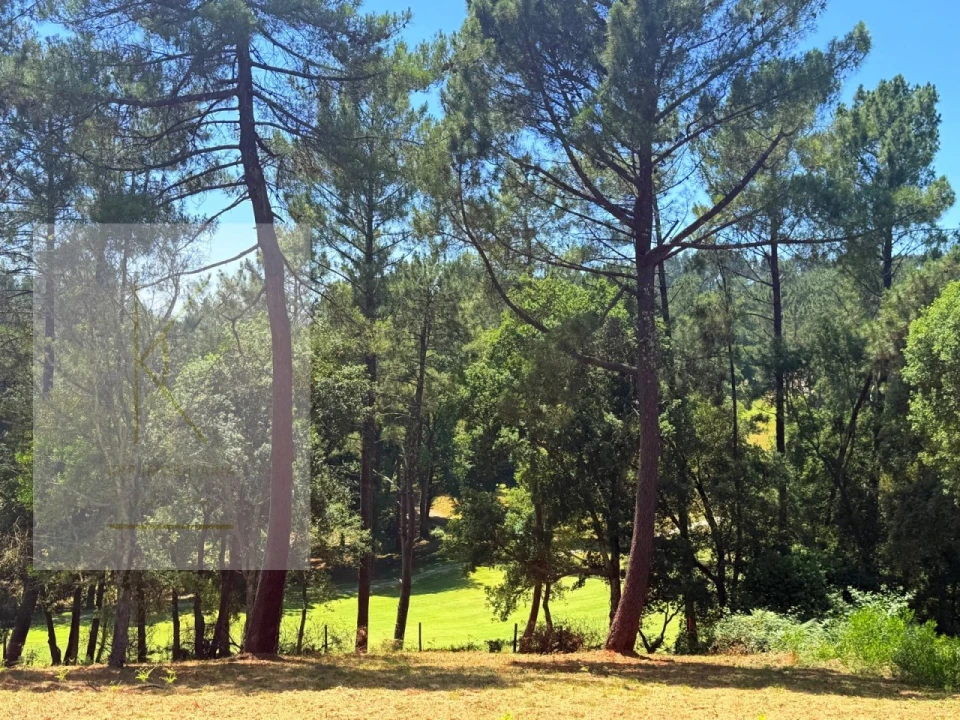 Terreno para Venda em Fornelos e Queijada Foto 1