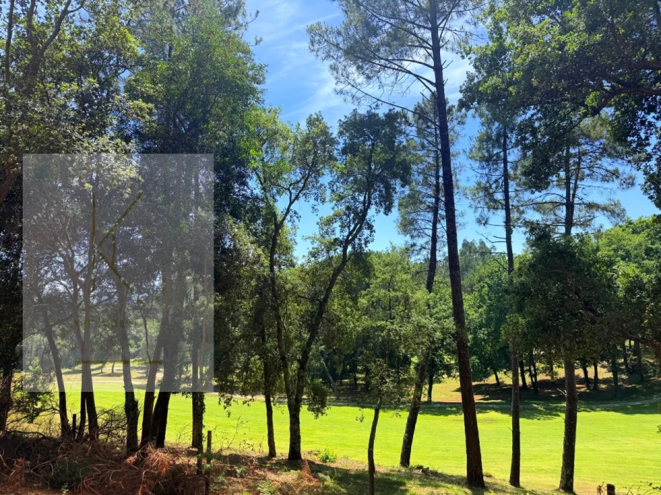 Terreno para Venda em Fornelos e Queijada Foto 3